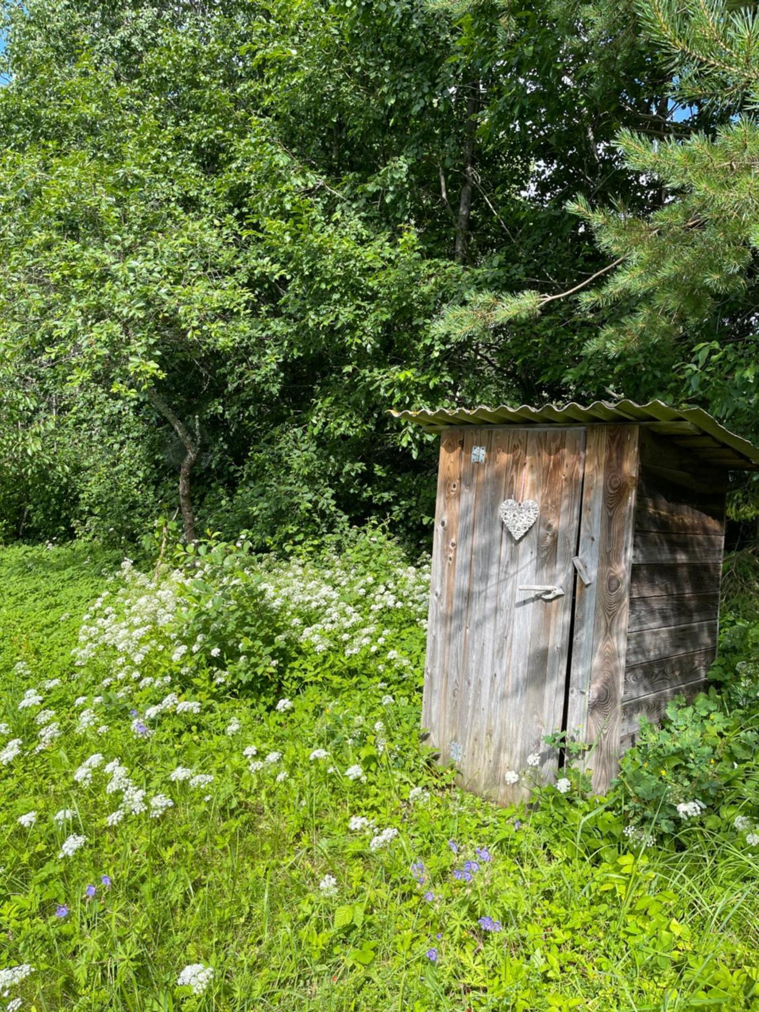 Marta 8 - Centre & Garden Külalistemaja